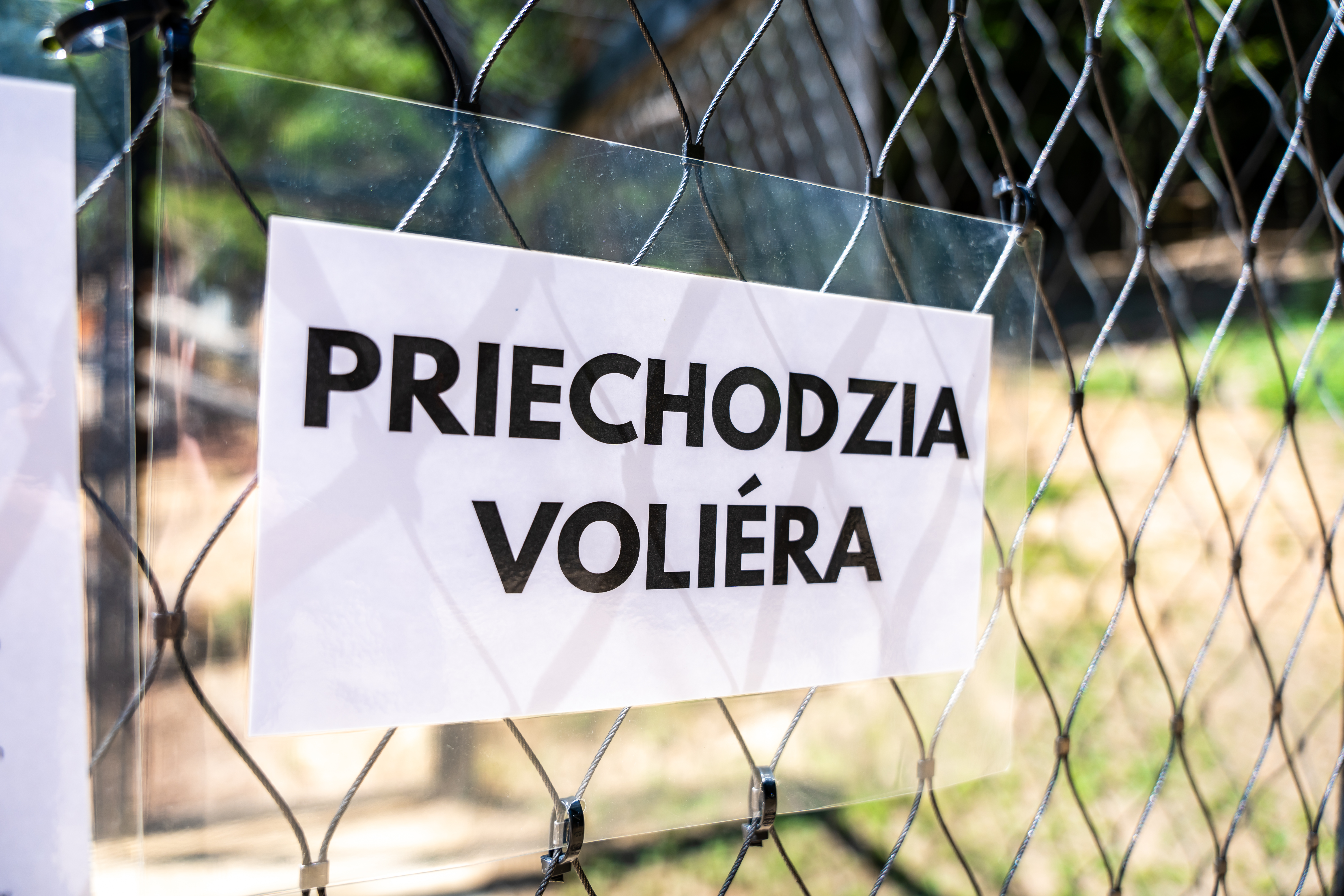 Tlacovy brifing o novych atrakciach v ZOO-41